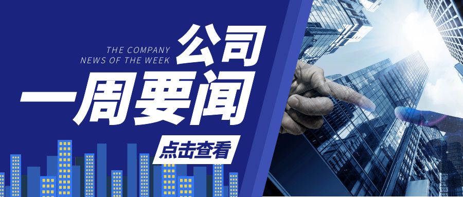 最新动态