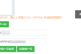 小程序下单时无法正常支付怎么办?