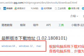 下载开发者工具?